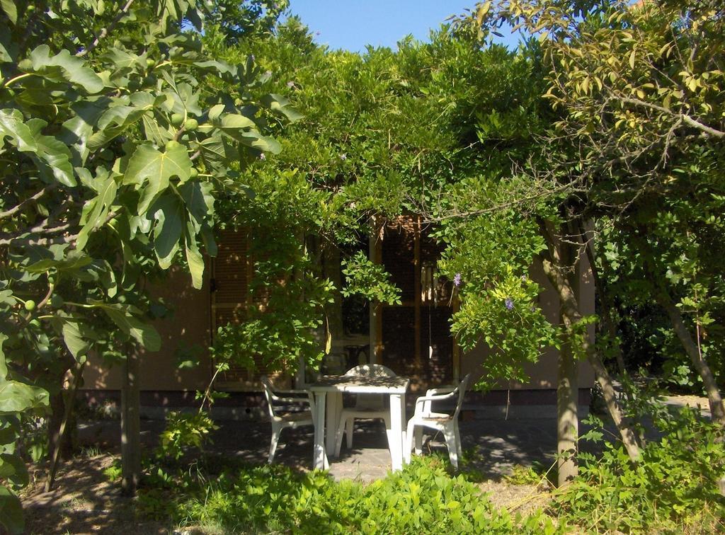 Villa Le Navi Antiche Pisa Exterior foto