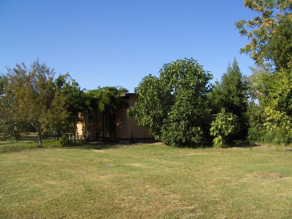 Villa Le Navi Antiche Pisa Exterior foto